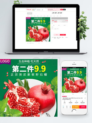 克莱拉与熊的秘密