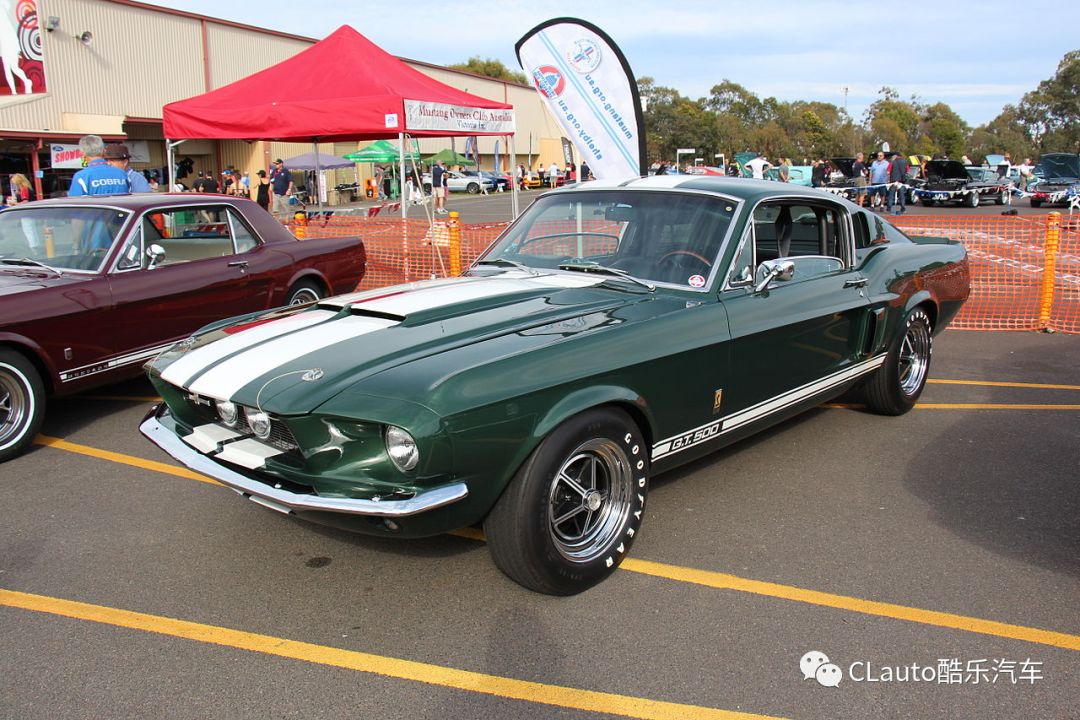 关于史蒂夫的一切