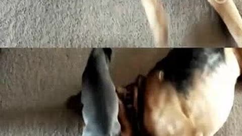 养鬼吃人8:地狱世界