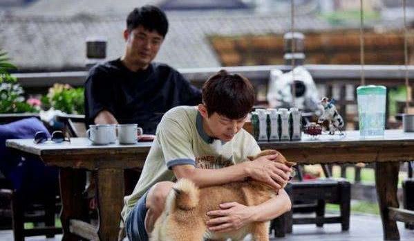 兰开斯特的天空