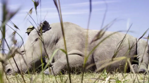 兰开斯特的天空