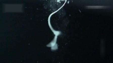 全职杀手（粤语版）