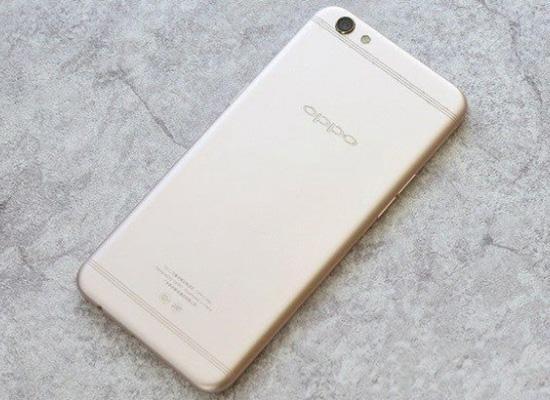 光灵：武士之魂