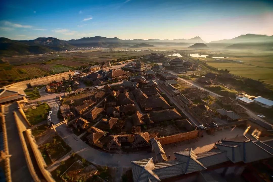 克莱尔·达林的最后疯狂