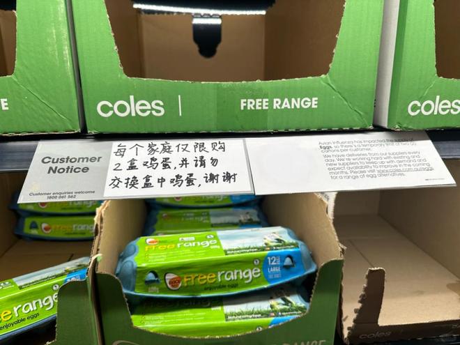 全世界最美的女孩