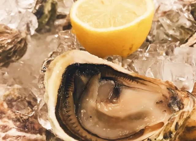 养鬼吃人4：血统