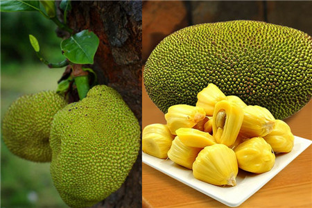 兰开斯特的天空