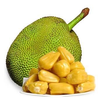 兰娅传奇（国语版）