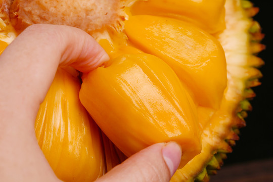 全息游戏：恋爱世界