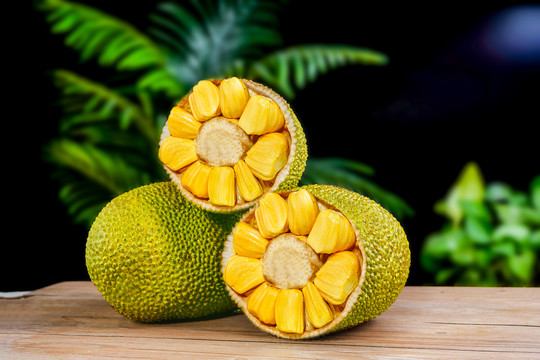 全息游戏：恋爱世界