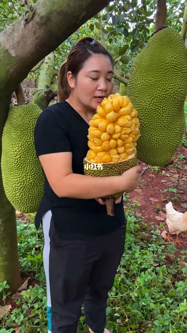 公众之敌(粤语版)