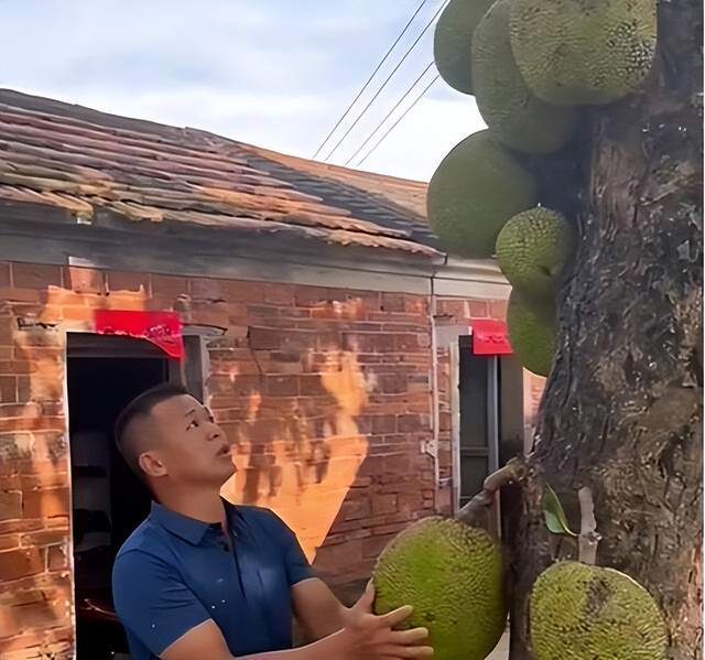 全息游戏：恋爱世界